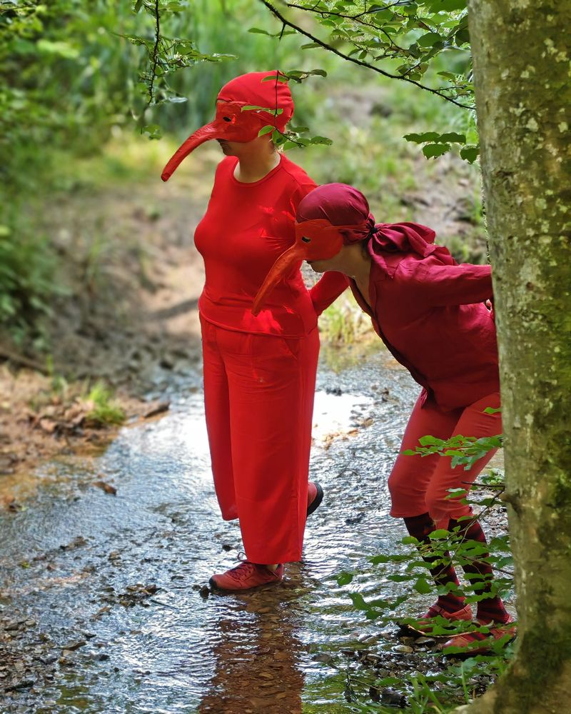 Global Water Dances 2025
